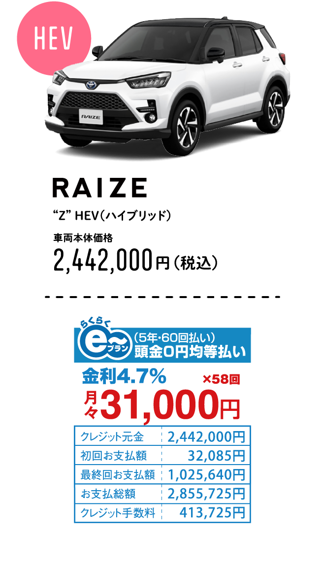 RAIZE