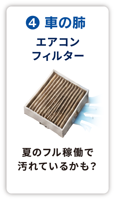 車の肺 エアコンフィルター 夏のフル稼働で汚れているかも?