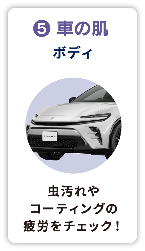車の肌 ボディ 虫汚れやコーティングの疲労をチェック!