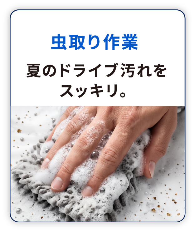虫取り作業 夏のドライブ汚れをスッキリ。
