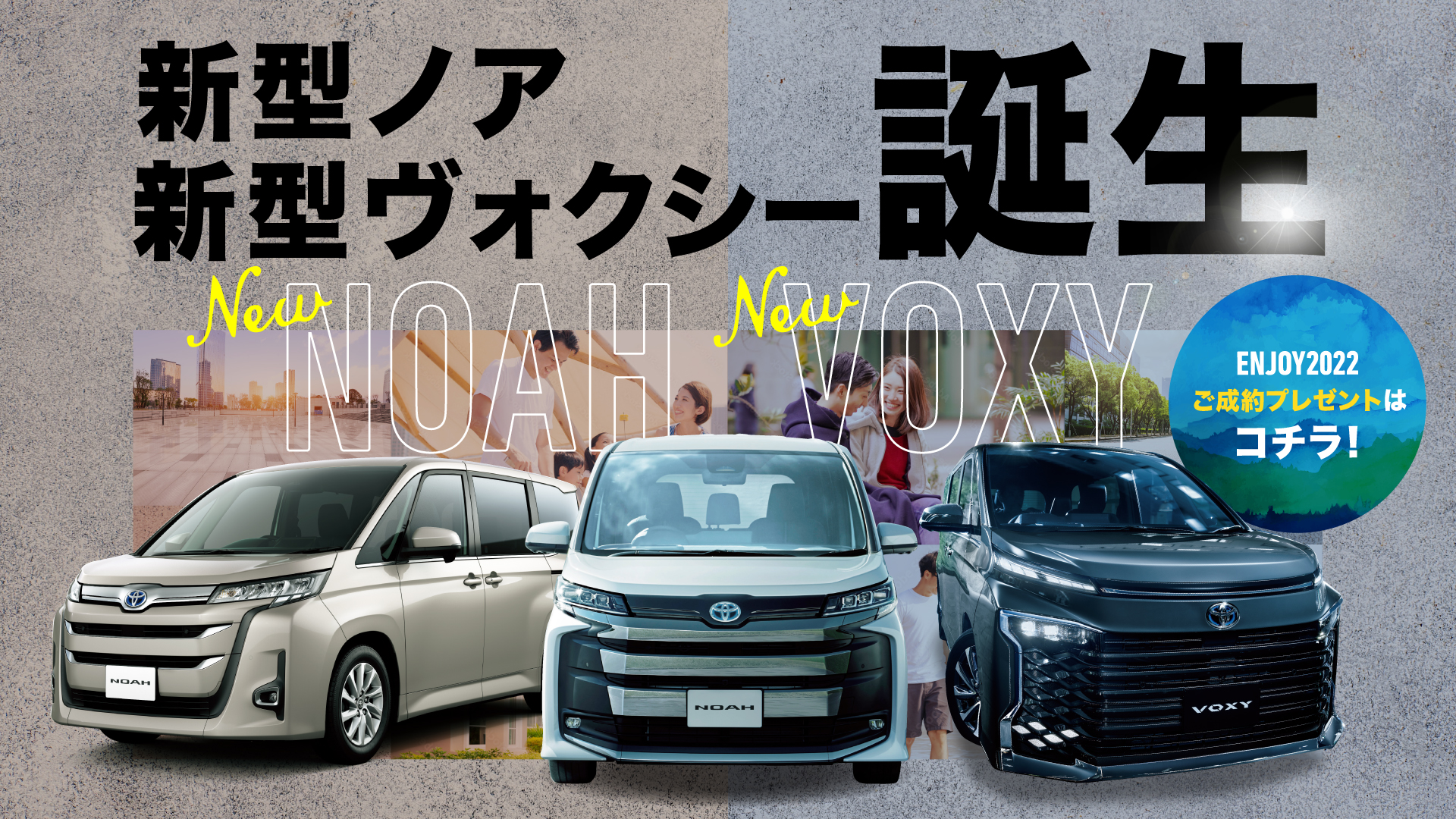 新車のご案内|ネッツトヨタ静岡